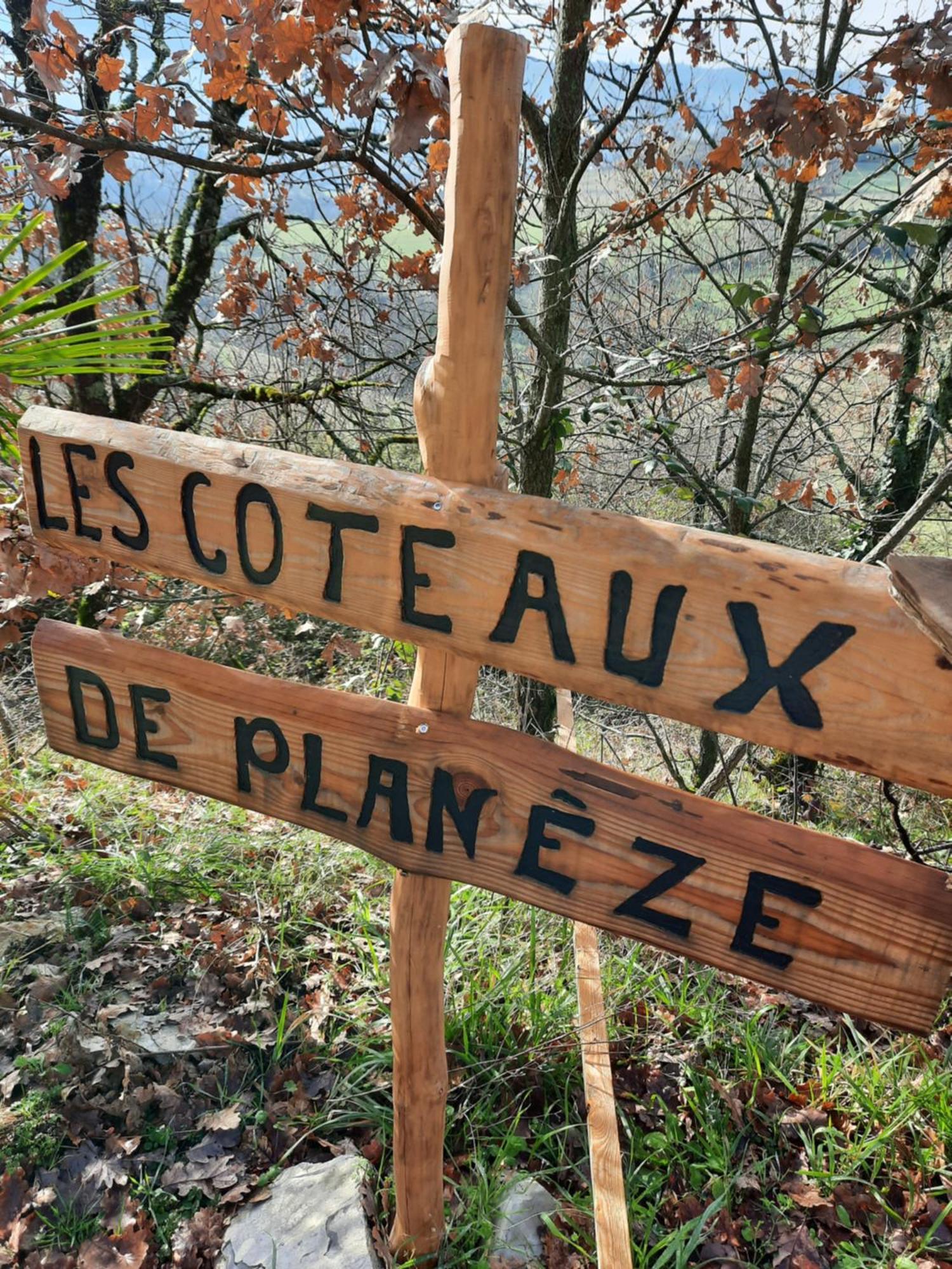 Idéal pour déplacement professionnel! Saint-Laurent-les-Tours Esterno foto